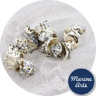 8075 - Drilled - Star Limpet - Sea Shell Garland